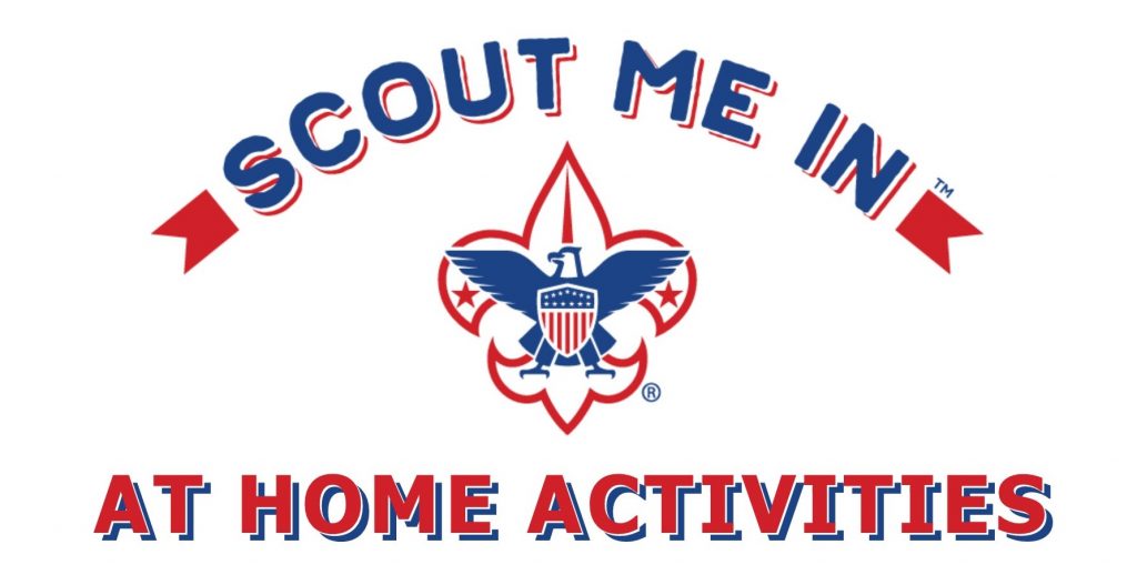 Baltimore Area Council Cub Scout Virtual Day Camp (Camp in a Box) - Cub